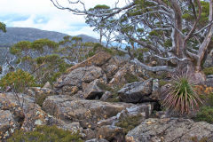 Landscape near Rodway Range in Mount Field National Park Tasmania