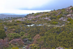 Small lake near Rodway Range in Mount Field National Park Tasmania