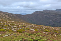Landscape on Rodway Range in Mount Field National Park Tasmania