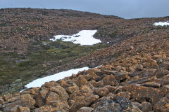 Snow on Rodway Range in Mount Field National Park Tasmania