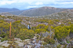 Landscape on Roadway Range in Mount Field National Park Tasmania