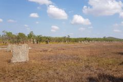 Flat ant hills in Litchfield National Park Northern Territory Australia