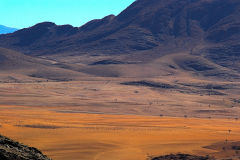 Desert landscape  at Valley of a Thousand Hills Campsite in Namibia