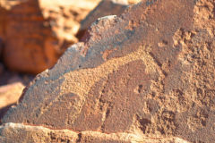 A giraffe rock engraving at Twyfelfontein