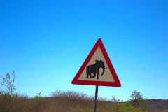Elephant street sign in Namibia