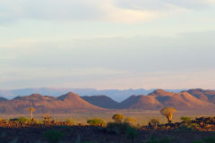 Sunset in the Kalahari in Namibia