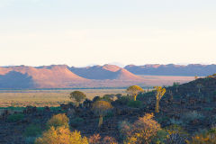 Sunset in the Kalahari in Namibia