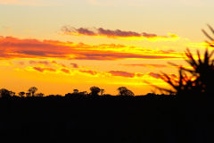Sunset in the Kalahari Desert in Namibia