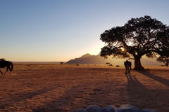 View from the camp site at Namtib Desert Lodge in the Namib Desert of Namibia