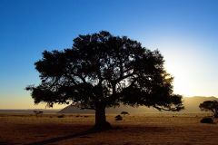 Sunset at Namtib Desert Lodge in the Namib Desert of Namibia