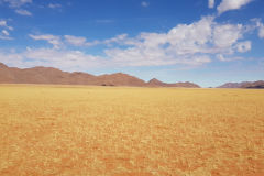 Desert landscape in Namib-Naukluft National Park Namibia