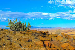 Desert landscape  at A Valley of a Thousand Hills Campsite Namibia