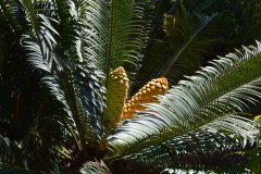 DSC_1410