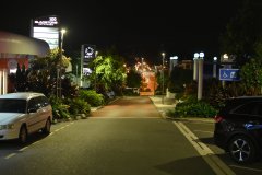 DSC_1479
