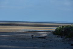 DSC_1741