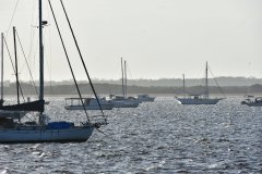 DSC_1746