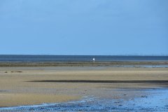 DSC_1751