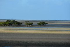 DSC_1753
