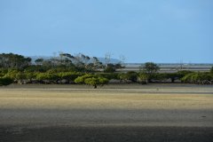 DSC_1754