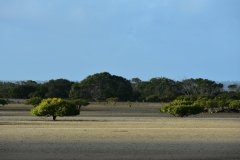 DSC_1755