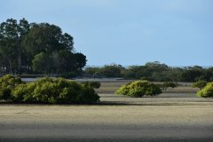 DSC_1756