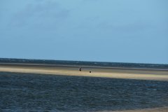 DSC_1772