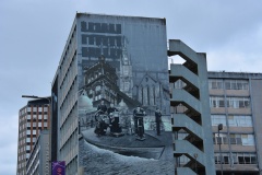 1_DSC_0033
