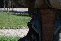 DSC_1194