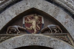 DSC_0919