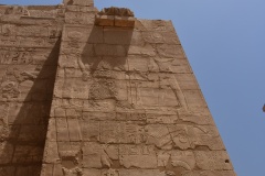 1_DSC_6454