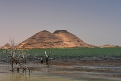 1_DSC_6979