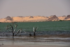 1_DSC_6985