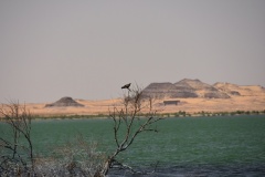 1_DSC_6997