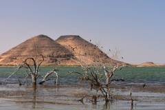 1_DSC_7038