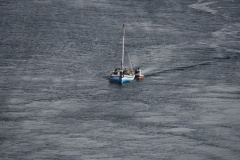 1_DSC_7264