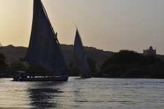 1_DSC_7563