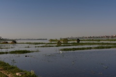 1_DSC_8068