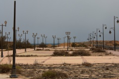 1_DSC_9231