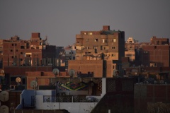 1_DSC_3995