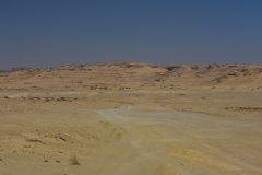 1_DSC_9297