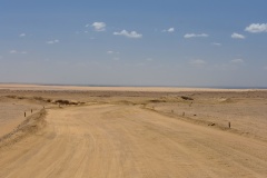 1_DSC_9317