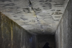 1_DSC_4798